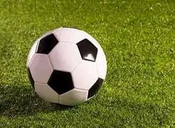 平湖,禾花杯,足球盛宴激,星空体育平台,星空体育官方网站,星空体育登录入口,星空体育app下载