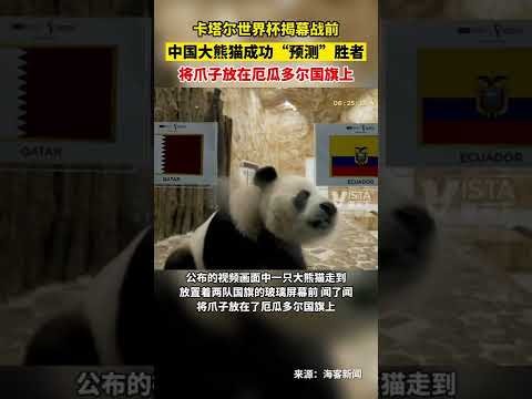 蓉城足球巨,星韦世豪,甘超全家欢,星空体育平台,星空体育官方网站,星空体育登录入口,星空体育app下载