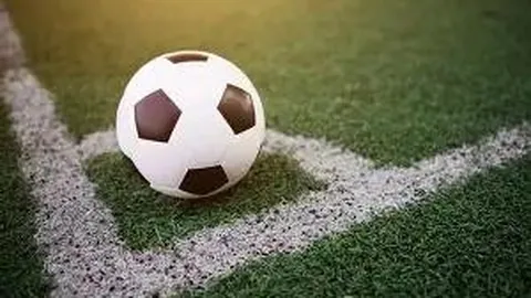 “李先生携子女观赛感慨：现场热度远超职业赛事”