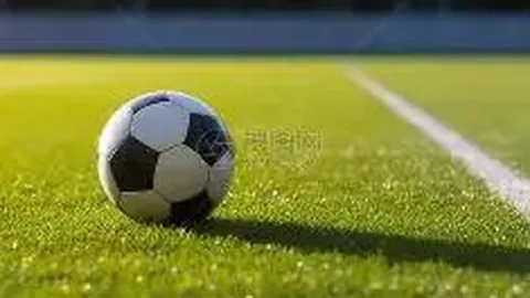 星空体育 资讯 120351 3q5