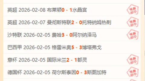 意甲两轮后宣告降级，首赛季提前落幕