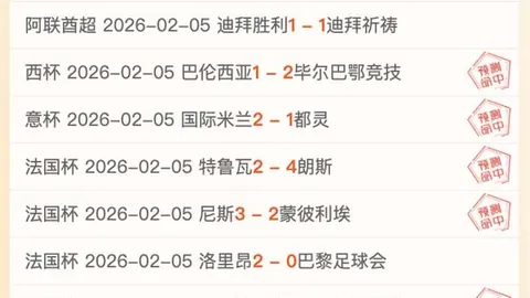 今夏希克可能告别勒沃库森，加盟英超球队，转会金约3000万欧元